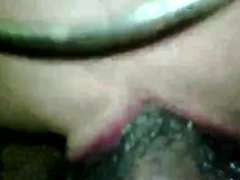 Amateur, Verga grande, Negro