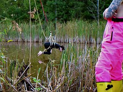 In den arsch, Sadomasochismus, Schmerz