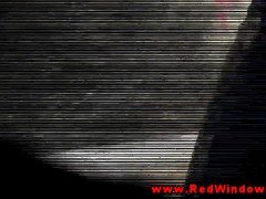 オランダ人, ヨーロピアン, ハードコア, 現実, ヤリマン, ヤリマンの