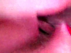 Любители, Британки, Классика, Рогоносцы