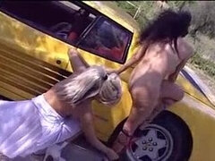 Affittasi Gigolo (1998)