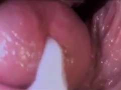 Enthousiasteling, Compilatie, Sperma