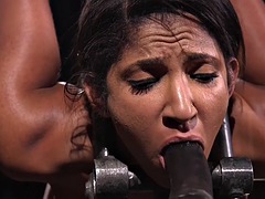 Asiatisch, Sadomasochismus, Fesselspiele, Dildo, Fetisch, Milf, Muschi, Hintern versohlen