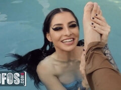 Bruinharig, Hd, Monster, Biljart, Gezichtspunt, Tieten likken