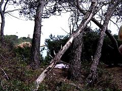 Большие сиськи, Блондинки, Хд, На природе, На публике, Киски, Жесткий секс, Сиськи