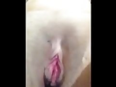 Gros clito, Clito, Masturbation, Chatte