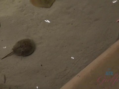 Schmutzig, Freundin, Masturbation, Orgasmus, Höschen, Pov, Tätowierung, Nass