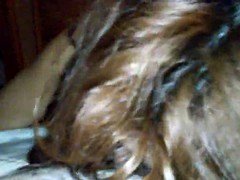 Amateur, Sucer une bite