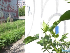 フェラチオ, イく瞬間, チン, バック, ハードコア, Hd, アウトドア, 息子