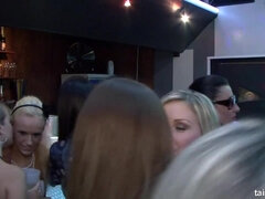 Lieveling, Gek, Erotisch, Groep, Orgie, Feest, Openbaar, Tieten likken