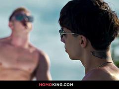 Homo, Hd