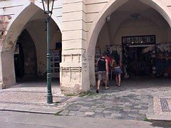Czech brunette cheats with not his brother