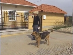 Blondine, Braunhaarige, Fingern, Hd, Lesbisch, Muschi