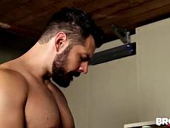 Kont, Pijpbeurt, Homo, Hd, Spier, Tatoeage