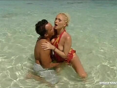 Plage, Gros cul, Grosse bite, Gros seins, Blonde, Sucer une bite, En levrette, Mère que j'aimerais baiser