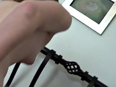 Amateur, Cul, Gros seins, Sucer une bite, Brunette brune, Hard, Adolescente, Nénés