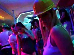 Verein, Gruppe, Hardcore, Party, Öffentlich