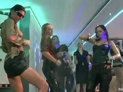 Grosser schwanz, Grosse titten, Blondine, Braunhaarige, Hd, Lesbisch, Strümpfe, Swingers