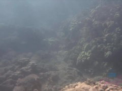 Strand, Bruinharig, Vriendin, Zoenen, Buiten, Kut duiken, Geschoren, Tieten likken