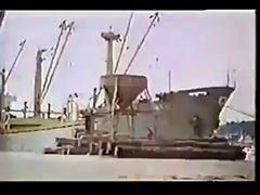 グループ, ヴィンテージ