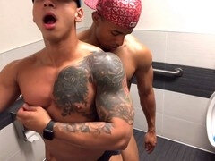 Любители, Геи