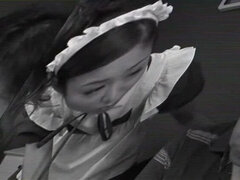 Sucer une bite, Branlette thaïlandaise, Japonaise, Public, Pute