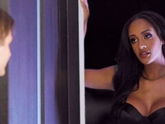 Grote kont, Grote lul, Grote mammen, Pijpbeurt, Bruinharig, Hondjeshouding, Hardcore, Tieten likken