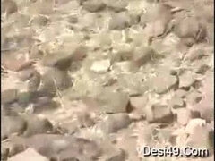 Bruinharig, Hd, Indisch