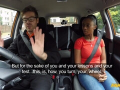 Enthousiasteling, Zwart, Pijpbeurt, Auto, Hondjeshouding, Handbeurt, Buiten, Realiteit