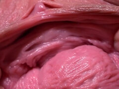 Gros seins, En gros plan de très près, Mère que j'aimerais baiser, Chatte, Solo, Nénés
