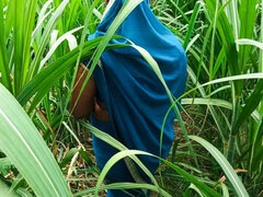 Большая жопа, Ферма, Секс без цензуры, Огромные размеры, Индианки, Соски, На природе, Сиськи