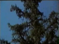 Mamada, Corridas, Francés, Orgía, Clasico