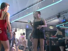 Vestidas, Interracial, Lesbiana, Orgía, Estrella porno, Satén, Intercambio de parejas, Mojado