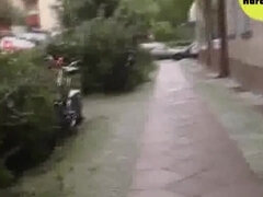 Culo, Perra, Rubia, Loco, Fetiche, Maduro, Mamá, Solo