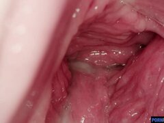 Braunhaarige, Besamung, Spermaladung, Hardcore, Reif, Pov, Muschi, Jungendliche (18+)