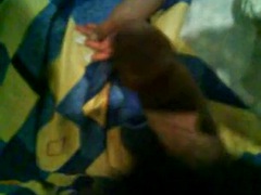 素人, ハードコア, メキシコ人, 三人