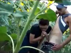 Arab, Blowjob, Handjob