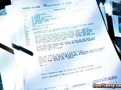 Анальный секс, Садо мазо, Минет, Бондаж, Доминирование, Ледибой, Латекс, Чулки