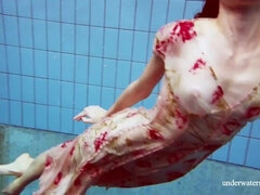 Lieveling, Grote kont, Bruinharig, Vrouw, Hd, Italiaans, Biljart, Tiener