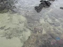 Emma looks so tasty when look in the ocean