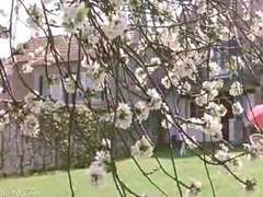 Classique, Rétro, Rétro ancien