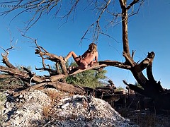 Sweet hot tranny in sandals strips naked in public and rides a wide penis on the trunk and enjoys it