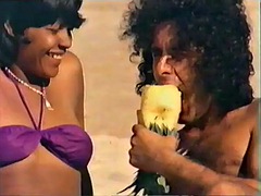 Zwart, Braziliaans, Zwart, Ouderwets, Oud