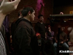 In den arsch, Fesselspiele, Domination, Weibliche domination, Gruppensex, Gruppe, Strapon, Spanner