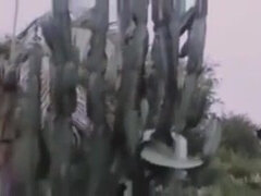 Bondage domination sadisme masochisme, Domination, Femelle, Rétro ancien