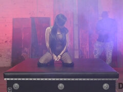 舐める尻, 黒人, 異人種間, オナニー, 変態趣向, 小柄, オマンコ, バイブレーター