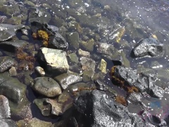 Любители, Пляж, Папочка, Эксгибиционист, Мастурбация, Оргазм, Крошечные, Курящие