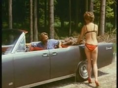 Blasen, Braunhaarige, Klassisch, Deutsch, Behaart, Orgie, Pornostars, Vintage