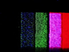 フェラチオ, 大学生, 学生寮, グループ, ラティーナ, オージー, パーティ, 三人