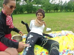 Messing Up A Perfectly Good Picnic